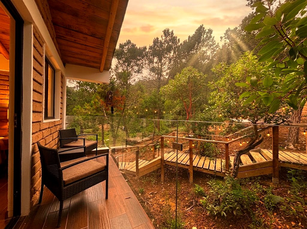 Patio trasero de OSA MAYOR con sillones de exterior, barandal de cristal y bosque de pinos al atardecer