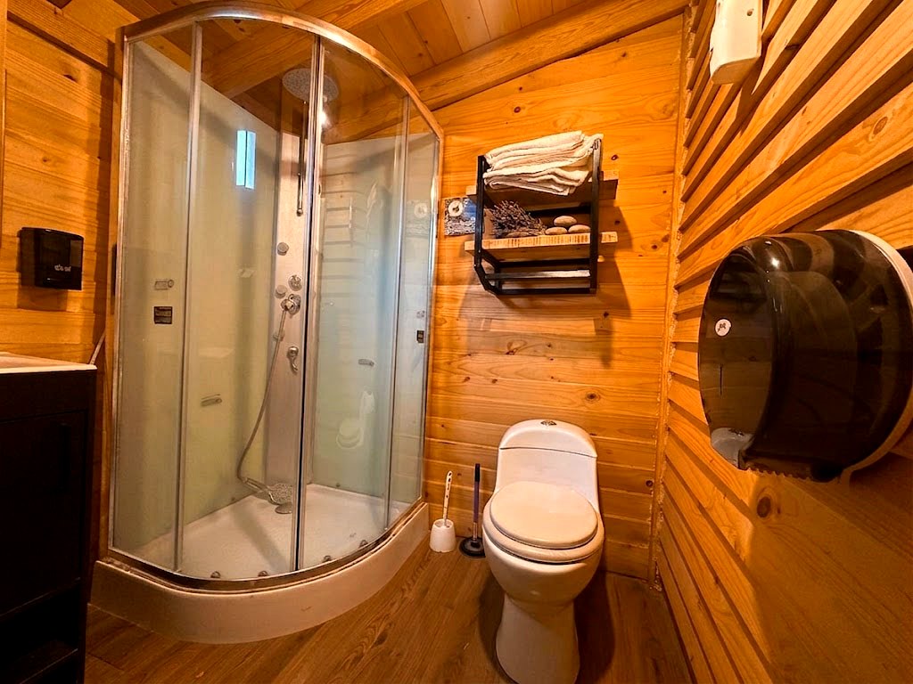 Baño de ORION con regadera hidromasaje de cristal curvo, sanitario y muros de madera cálida