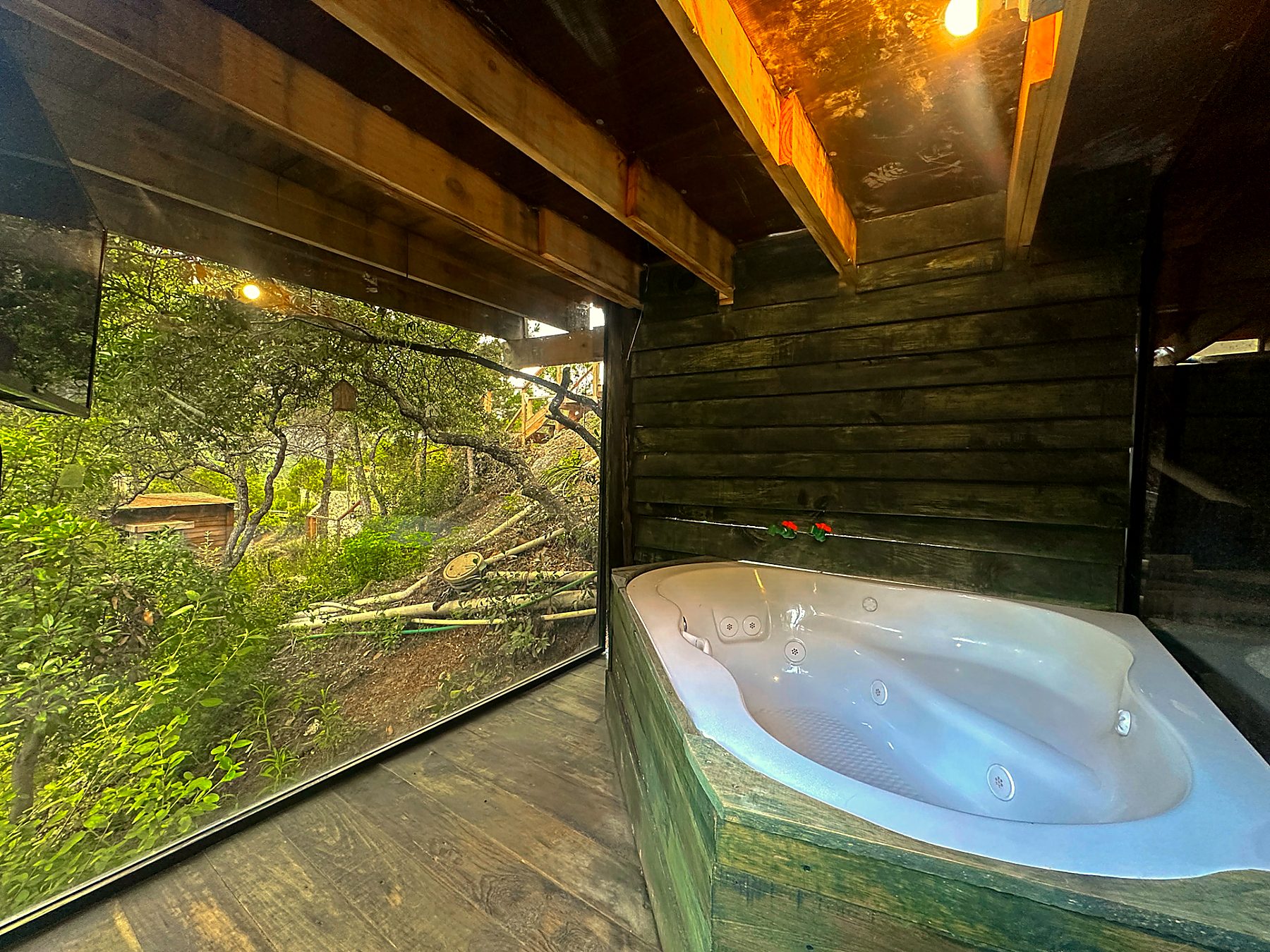 Jacuzzi privado de AURORA BOREAL bajo techo de madera con ventanal panorámico al bosque de la Sierra de Arteaga